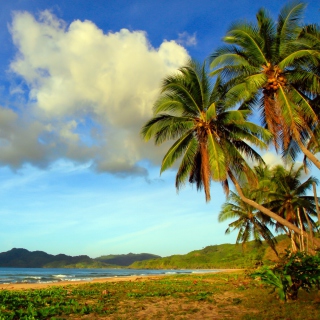 Vietnam Beach sfondi gratuiti per iPad mini