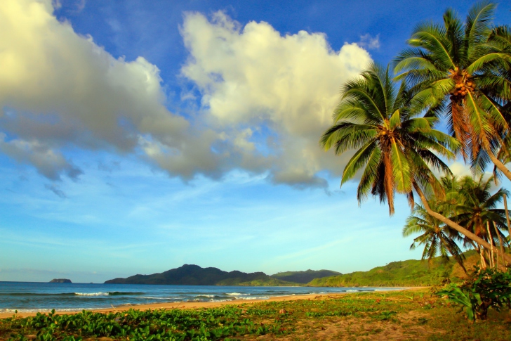 Sfondi Vietnam Beach