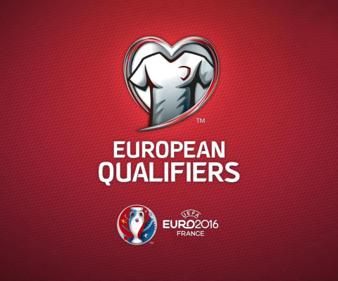 UEFA Euro 2016 Red screenshot #1 480x400