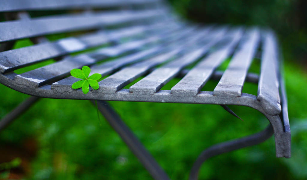 Das Little Green Leaf On Bench Wallpaper 1024x600