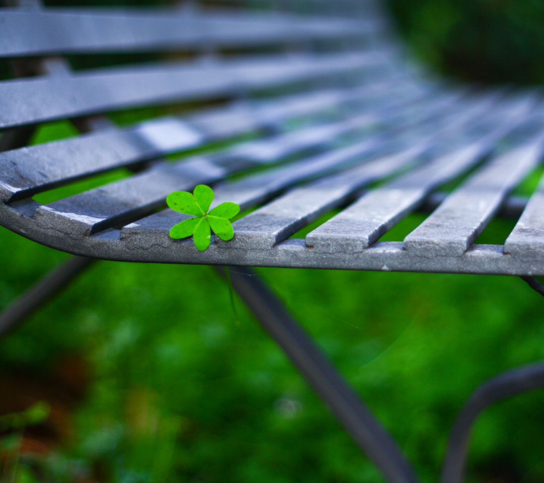 Sfondi Little Green Leaf On Bench 1080x960