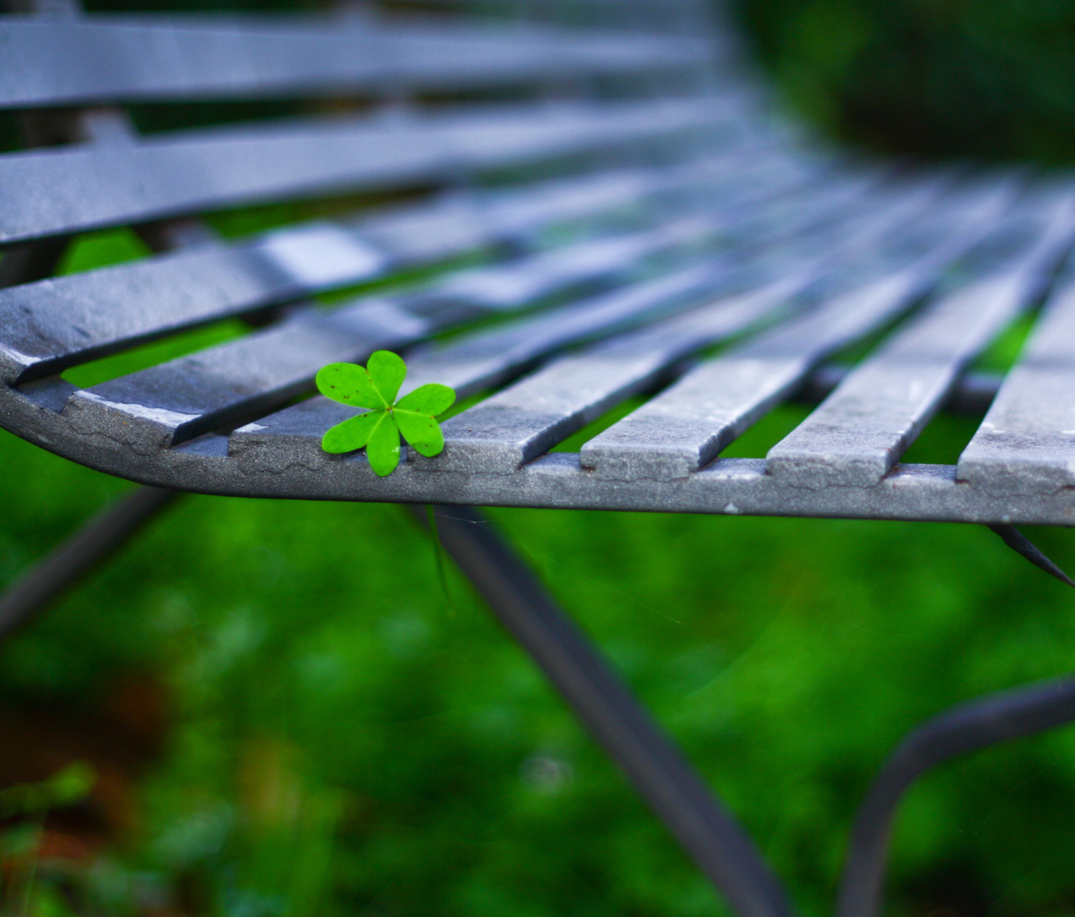 Sfondi Little Green Leaf On Bench 1200x1024