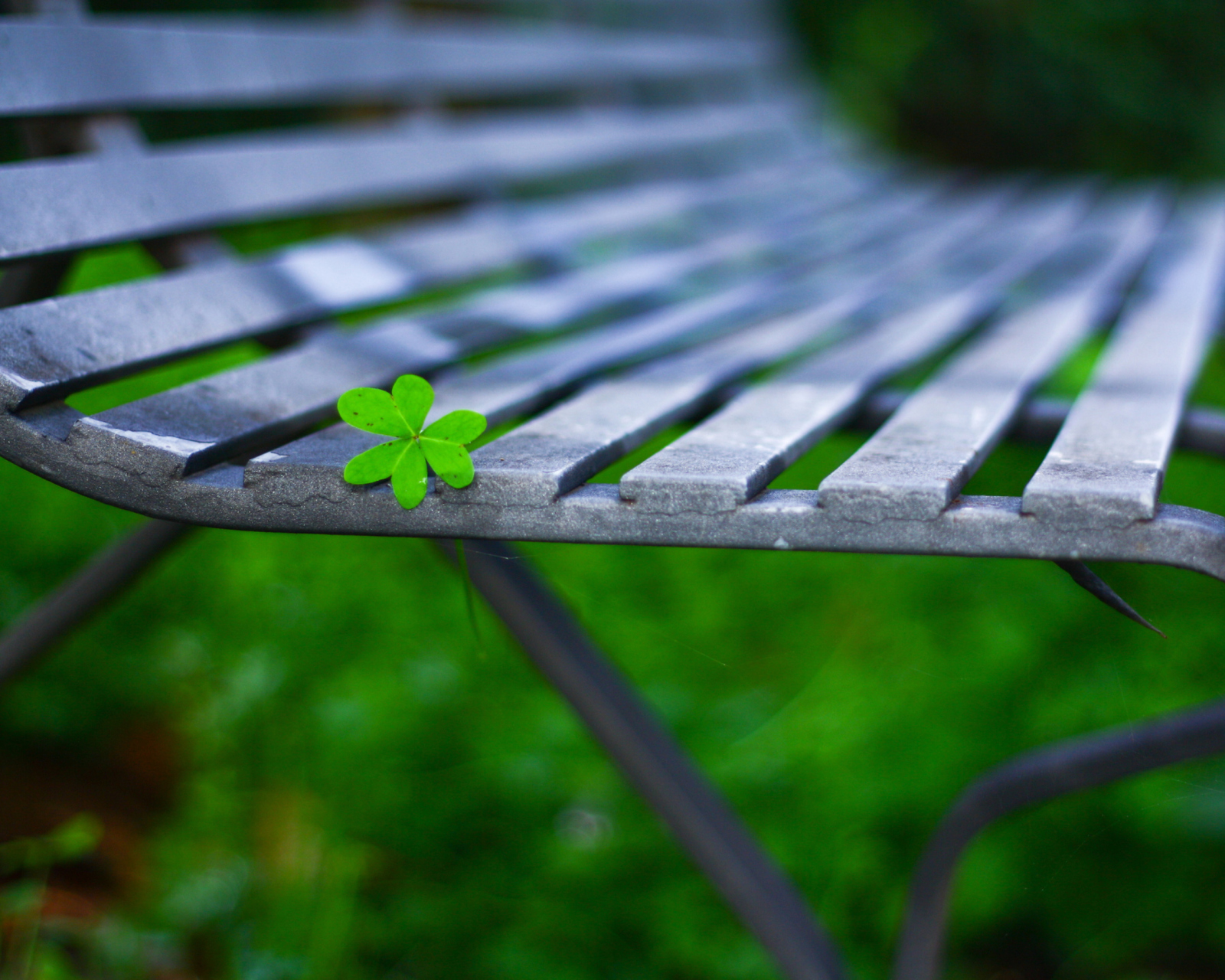 Sfondi Little Green Leaf On Bench 1600x1280