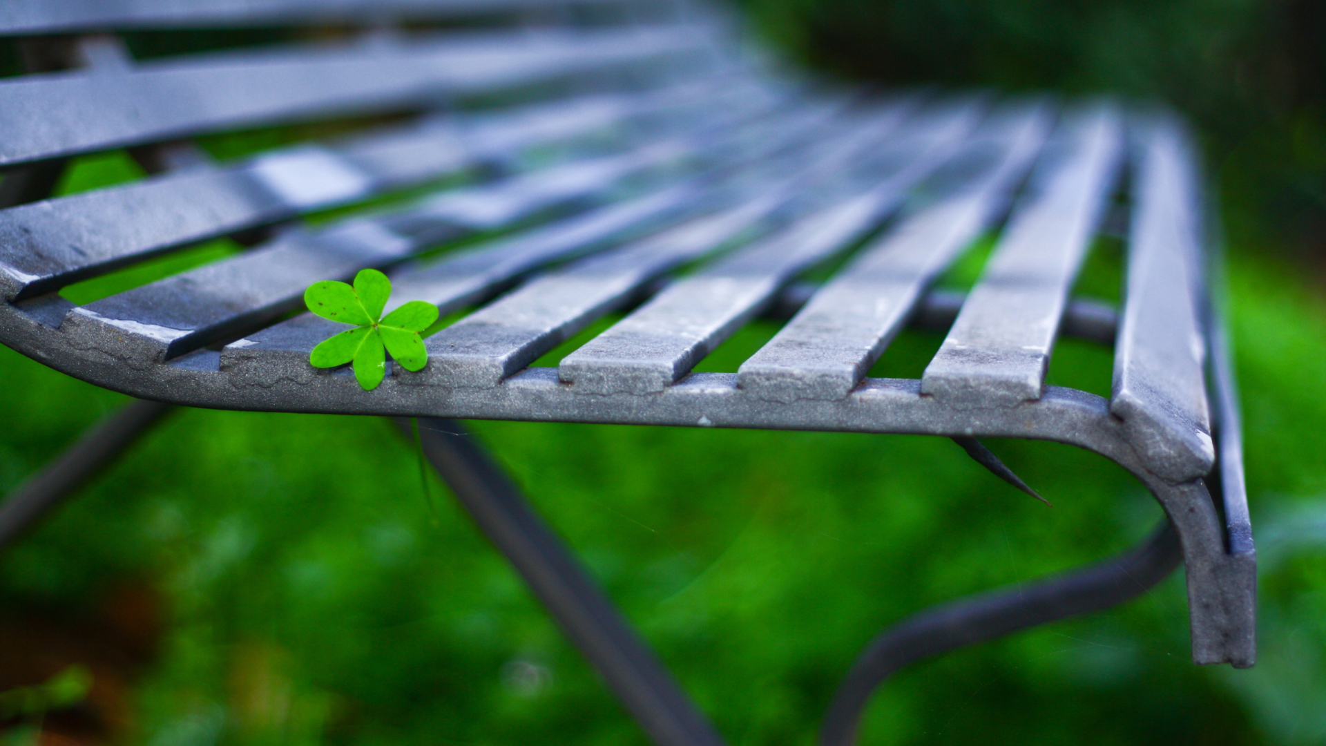 Das Little Green Leaf On Bench Wallpaper 1920x1080