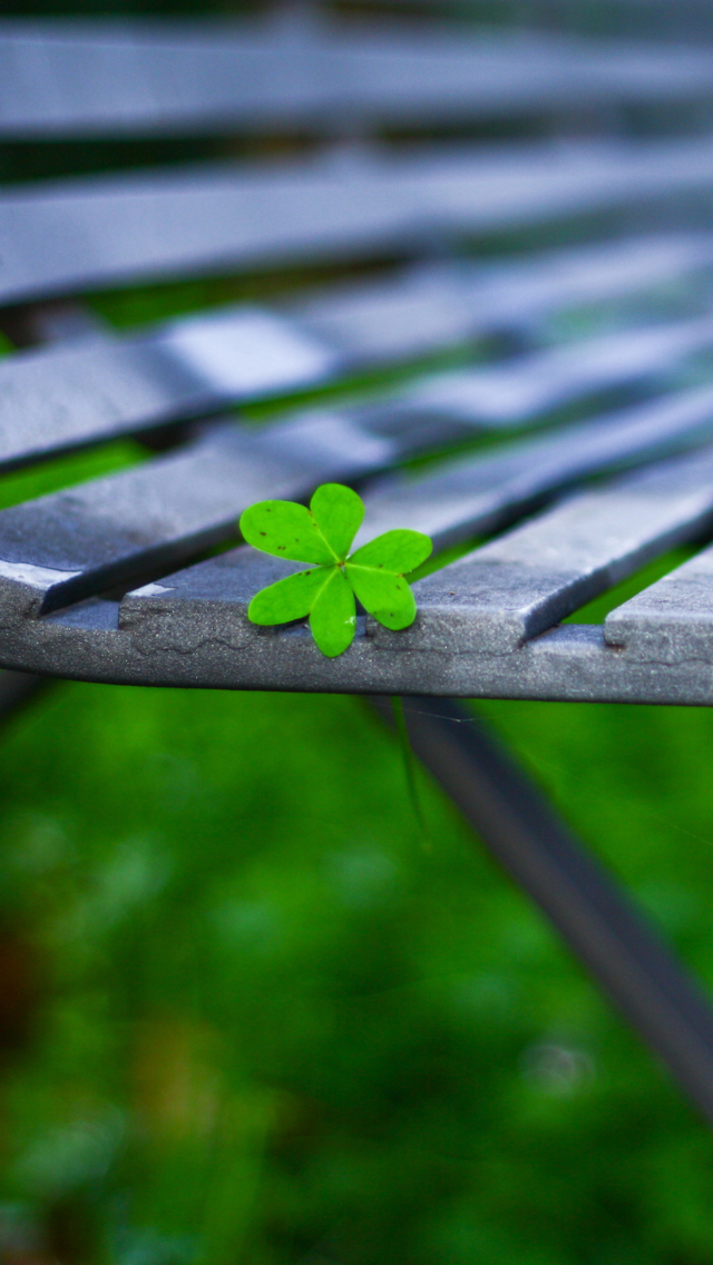 Little Green Leaf On Bench wallpaper 640x1136