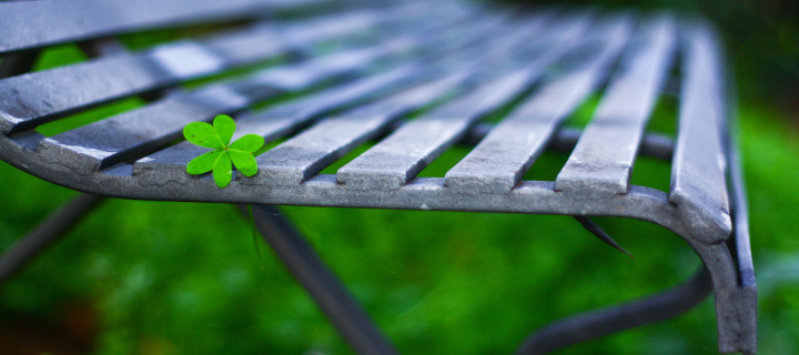 Das Little Green Leaf On Bench Wallpaper 720x320