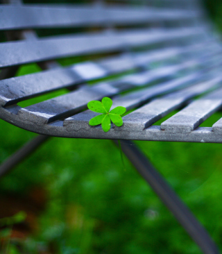 Little Green Leaf On Bench - Obrázkek zdarma pro iPhone 6