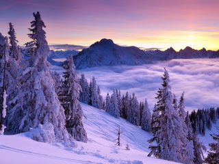 Purple Winter Sunset screenshot #1 320x240