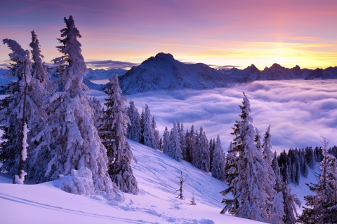 Purple Winter Sunset screenshot #1 480x320