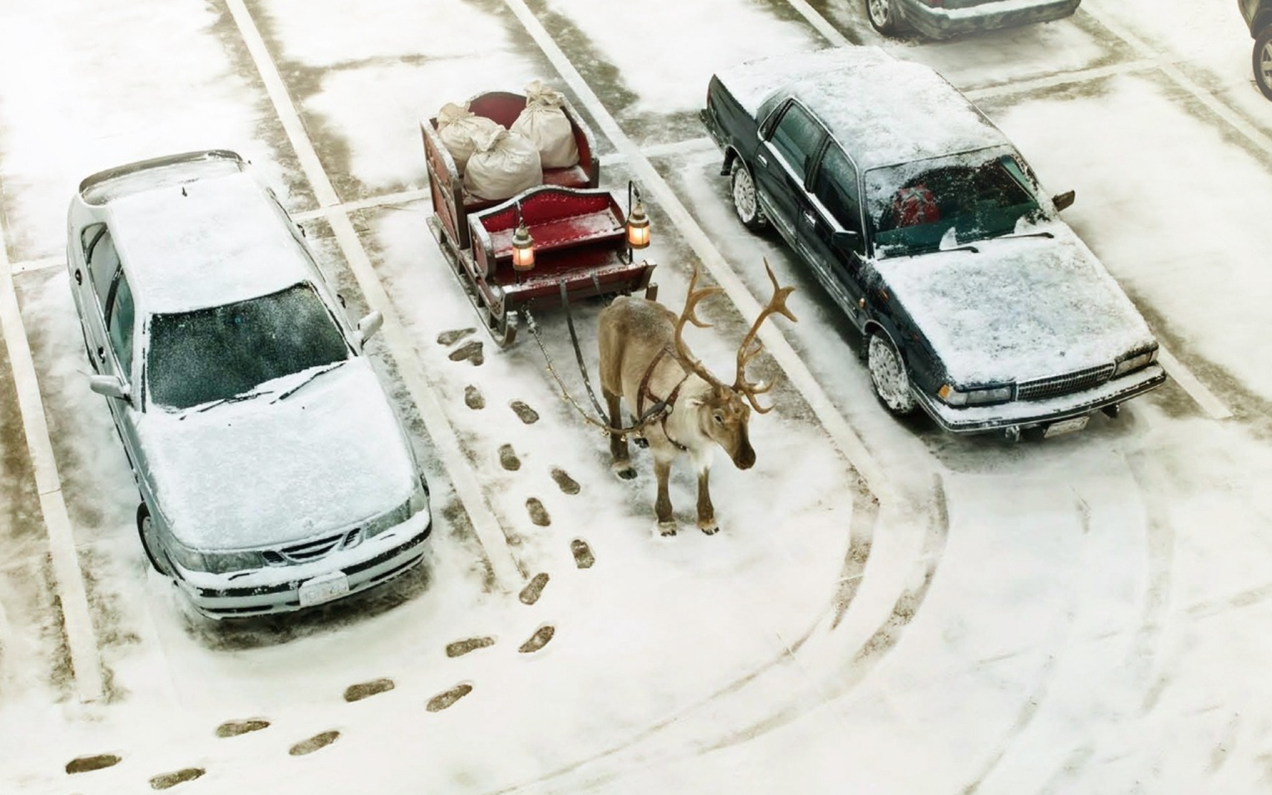 Снег смешная картинка. Машина в снегу. Автоприколы зима. Дед Мороз на дороге. Машины на парковке зимой.