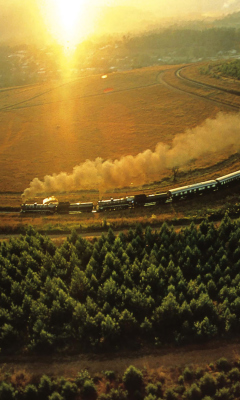Train On Railway wallpaper 240x400
