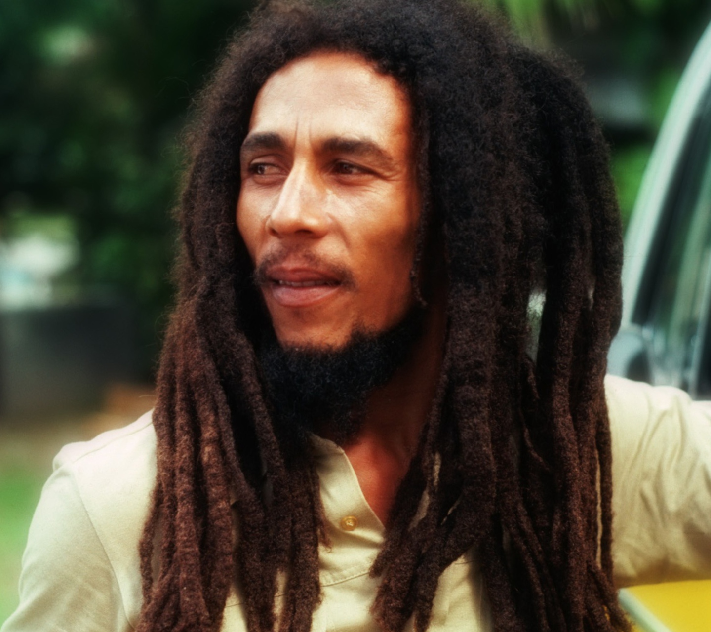 Bob Marley screenshot #1 1440x1280