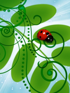 Vector Ladybug wallpaper 240x320