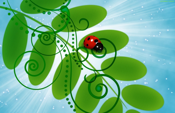 Vector Ladybug wallpaper