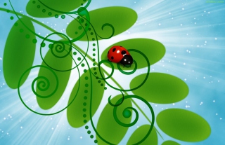 Kostenloses Vector Ladybug Wallpaper für Android, iPhone und iPad