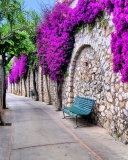 Iitaly flower street wallpaper 128x160