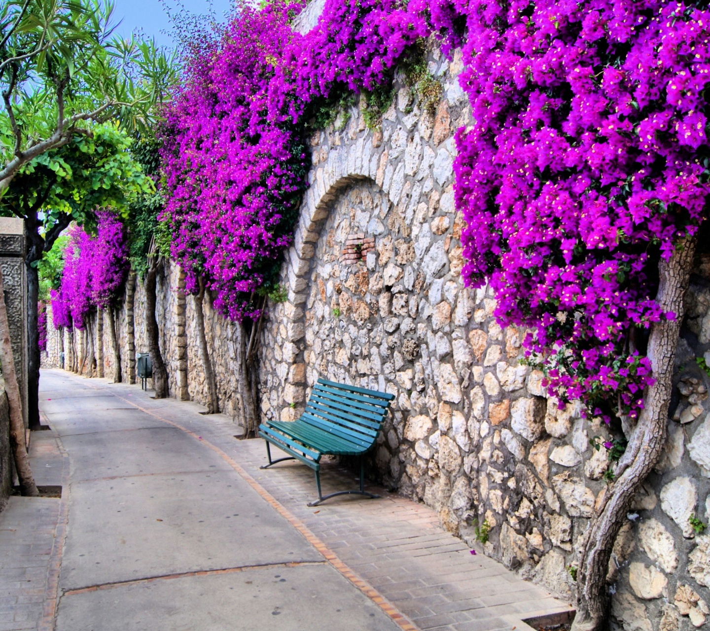 Iitaly flower street wallpaper 1440x1280