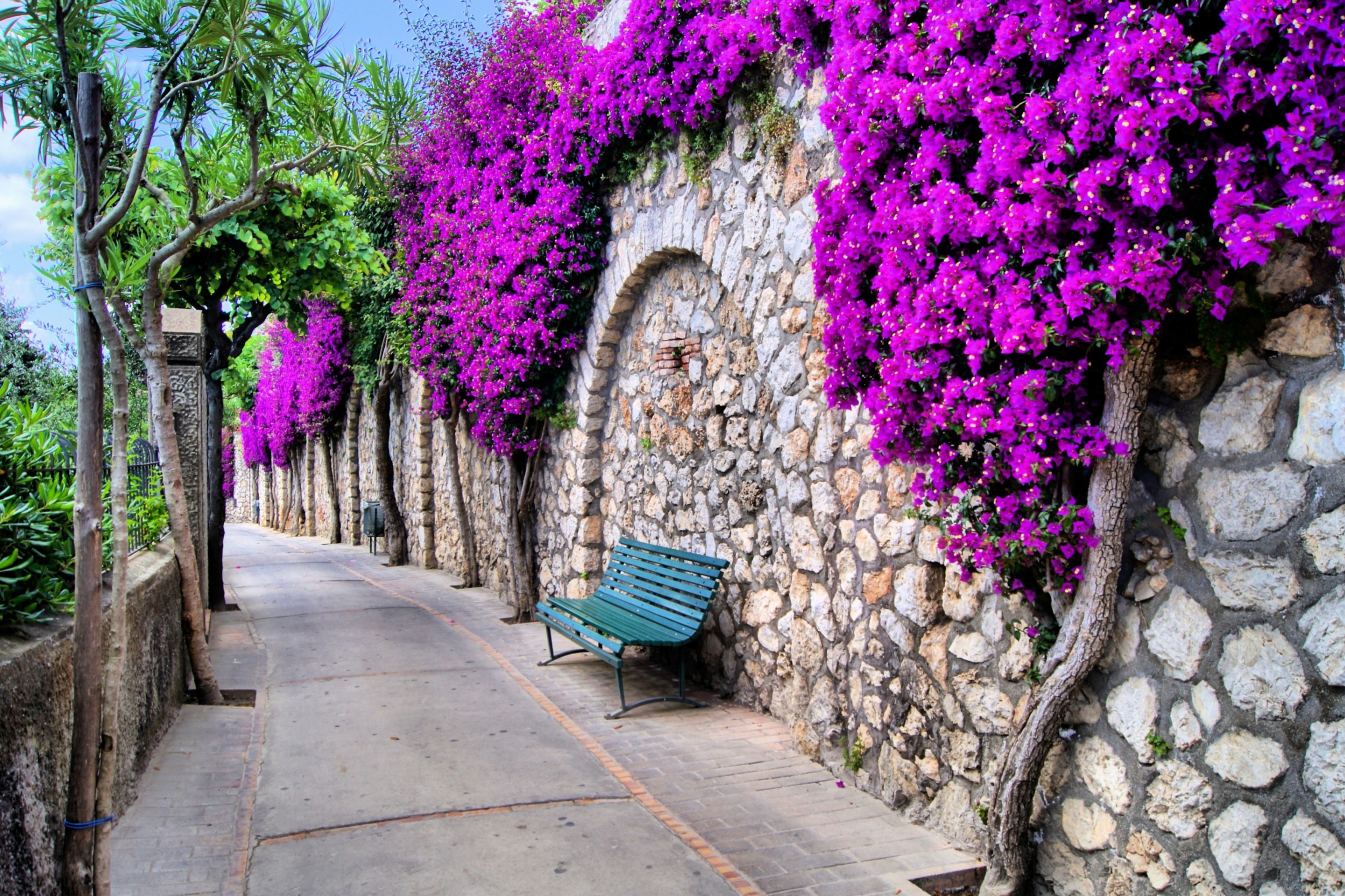 Iitaly flower street wallpaper 2880x1920