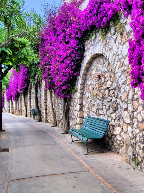 Iitaly flower street wallpaper 480x640