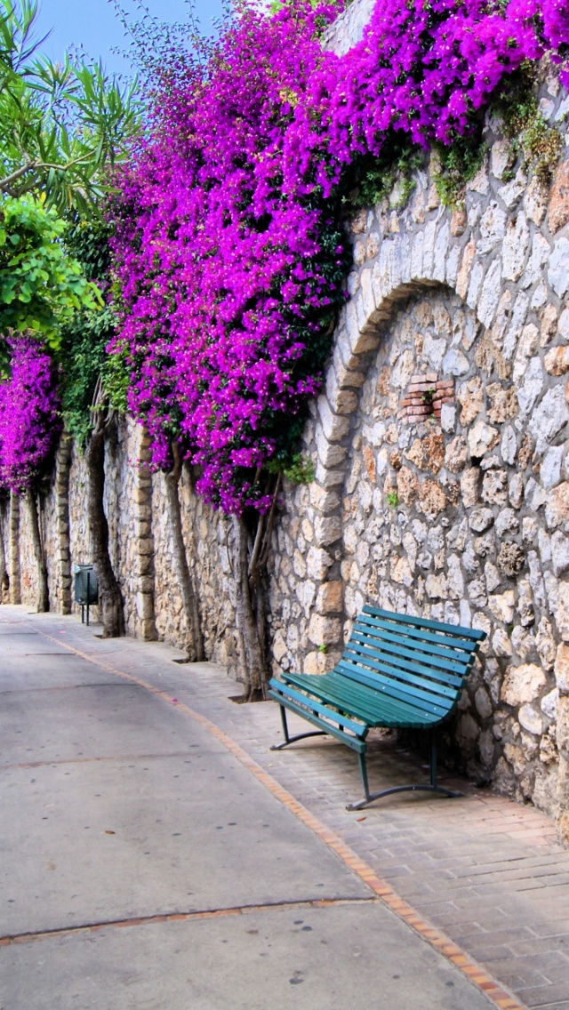 Das Iitaly flower street Wallpaper 640x1136