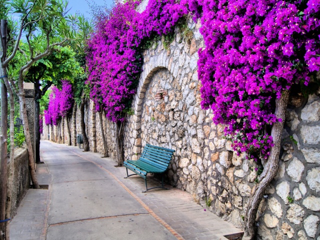 Iitaly flower street wallpaper 640x480