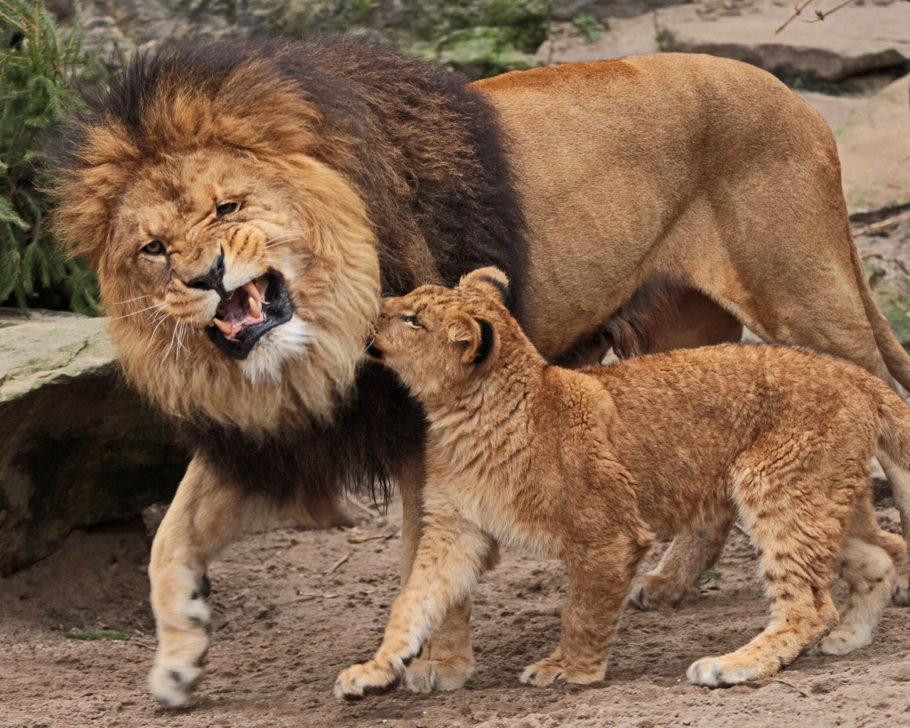 Sfondi Father And Son Relationship 1280x1024