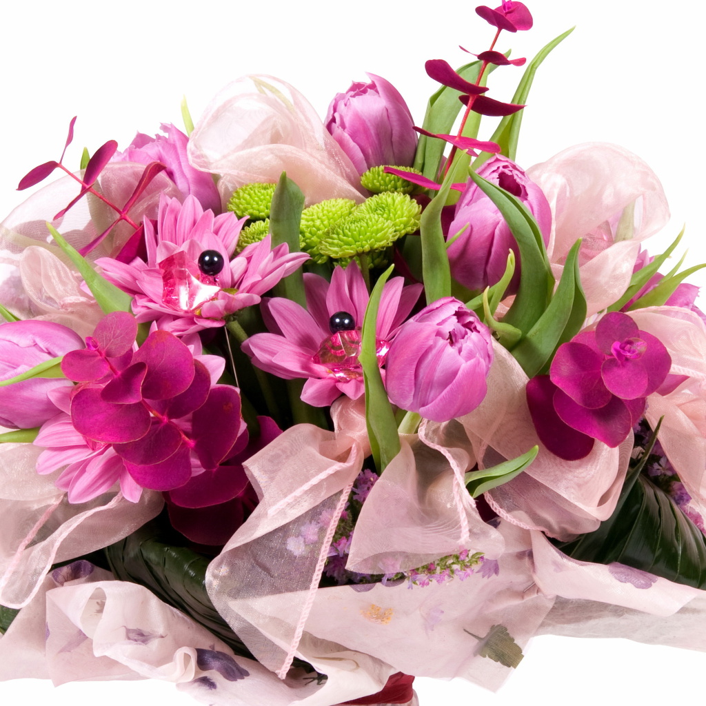 Fondo de pantalla Tulip Bouquet 1024x1024