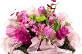 Free Tulip Bouquet Picture for Android, iPhone and iPad