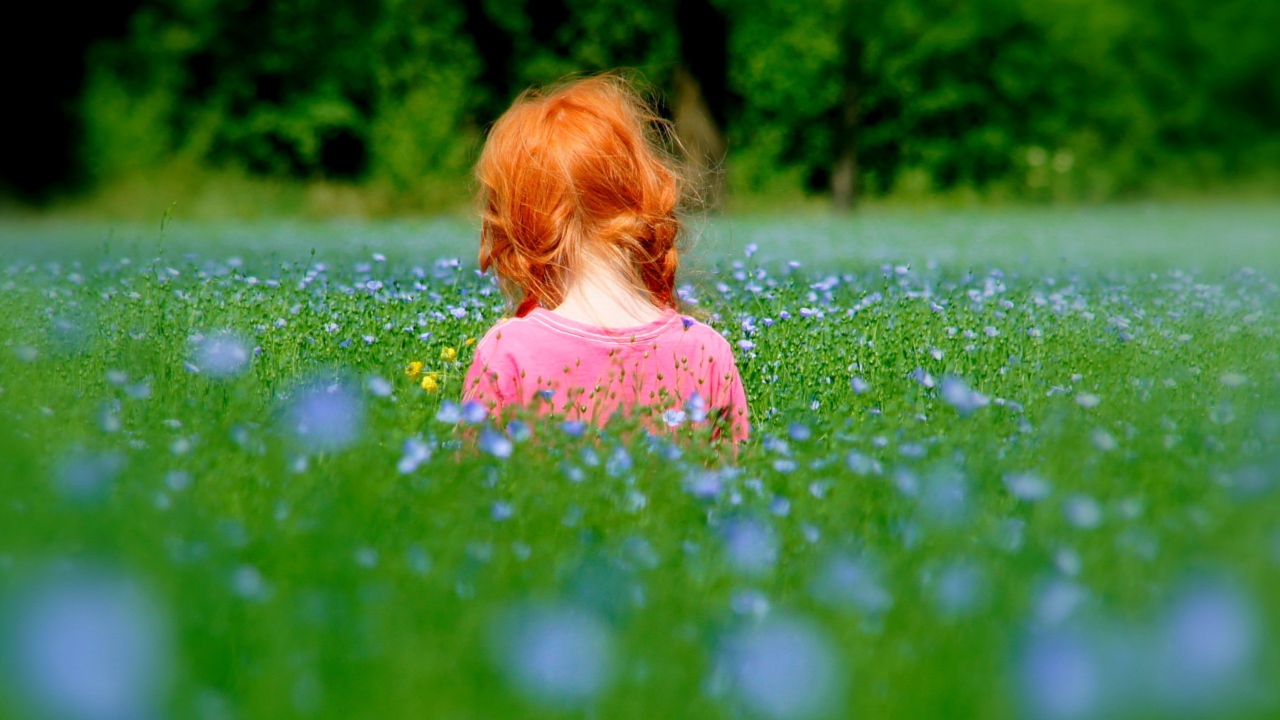 Fondo de pantalla Redhead Child Girl Behind Green Grass 1280x720