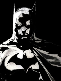 Screenshot №1 pro téma Batman Artwork 240x320