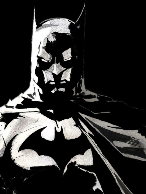 Screenshot №1 pro téma Batman Artwork 480x640