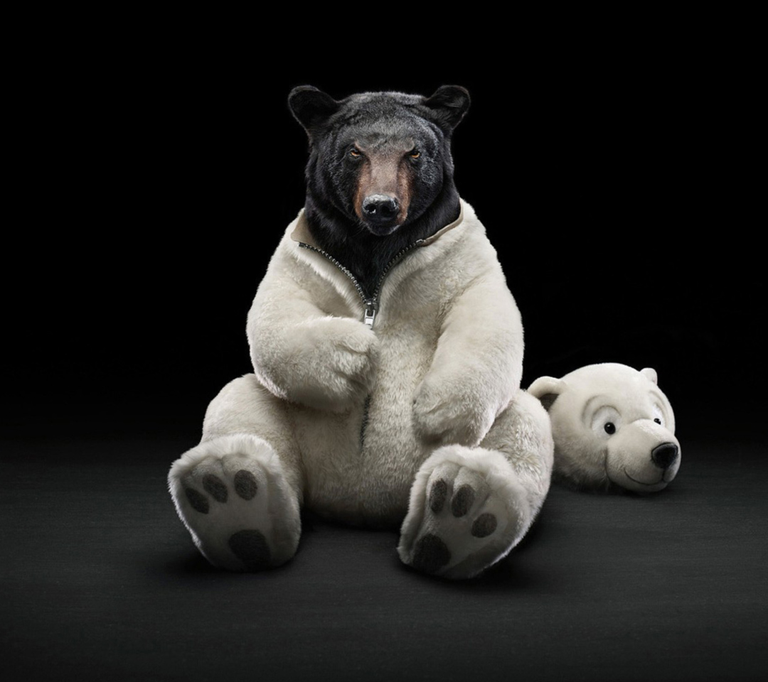 Das Polar Bear Wallpaper 1080x960