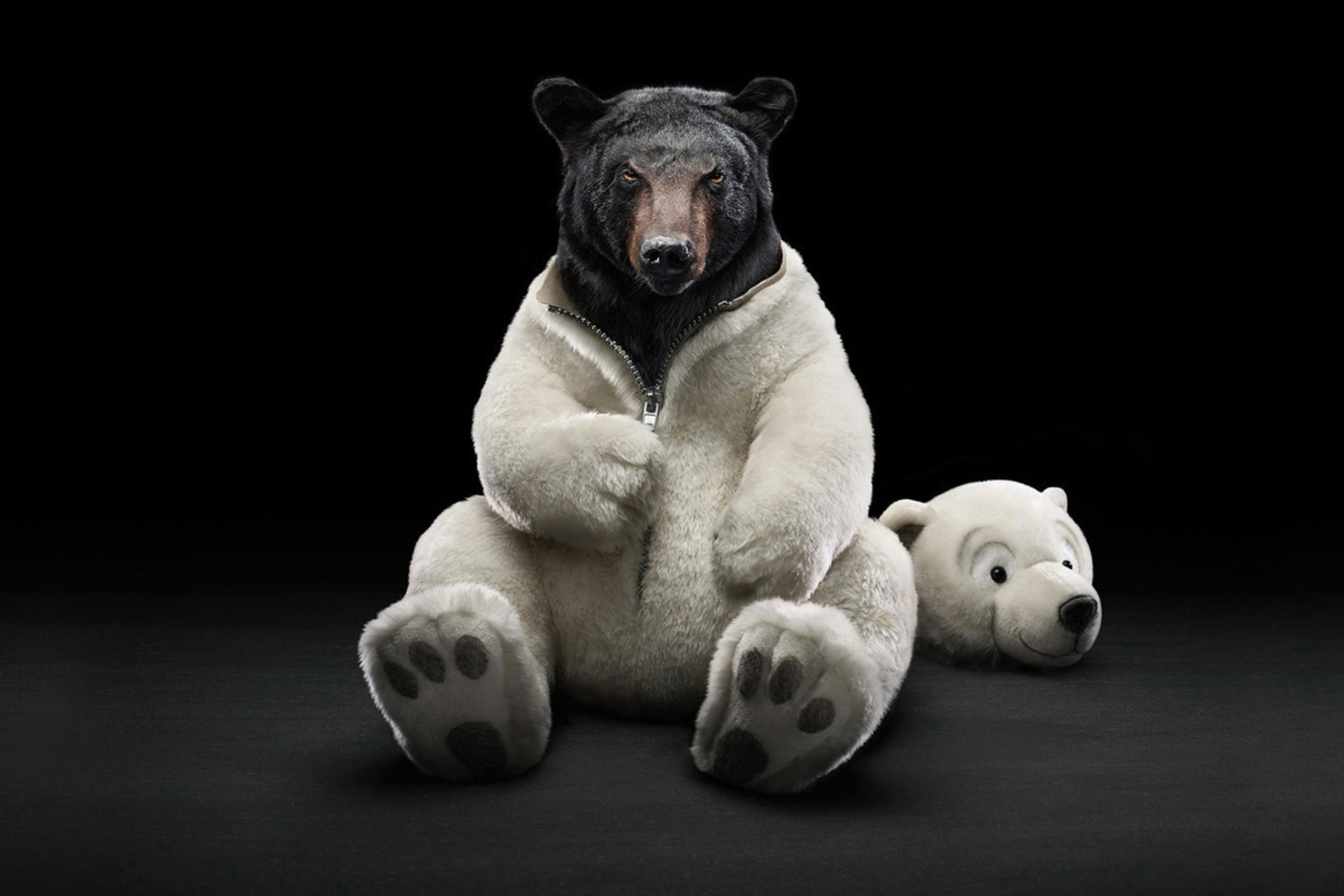 Sfondi Polar Bear 2880x1920