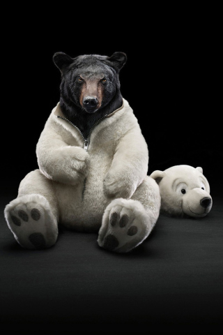 Fondo de pantalla Polar Bear 320x480