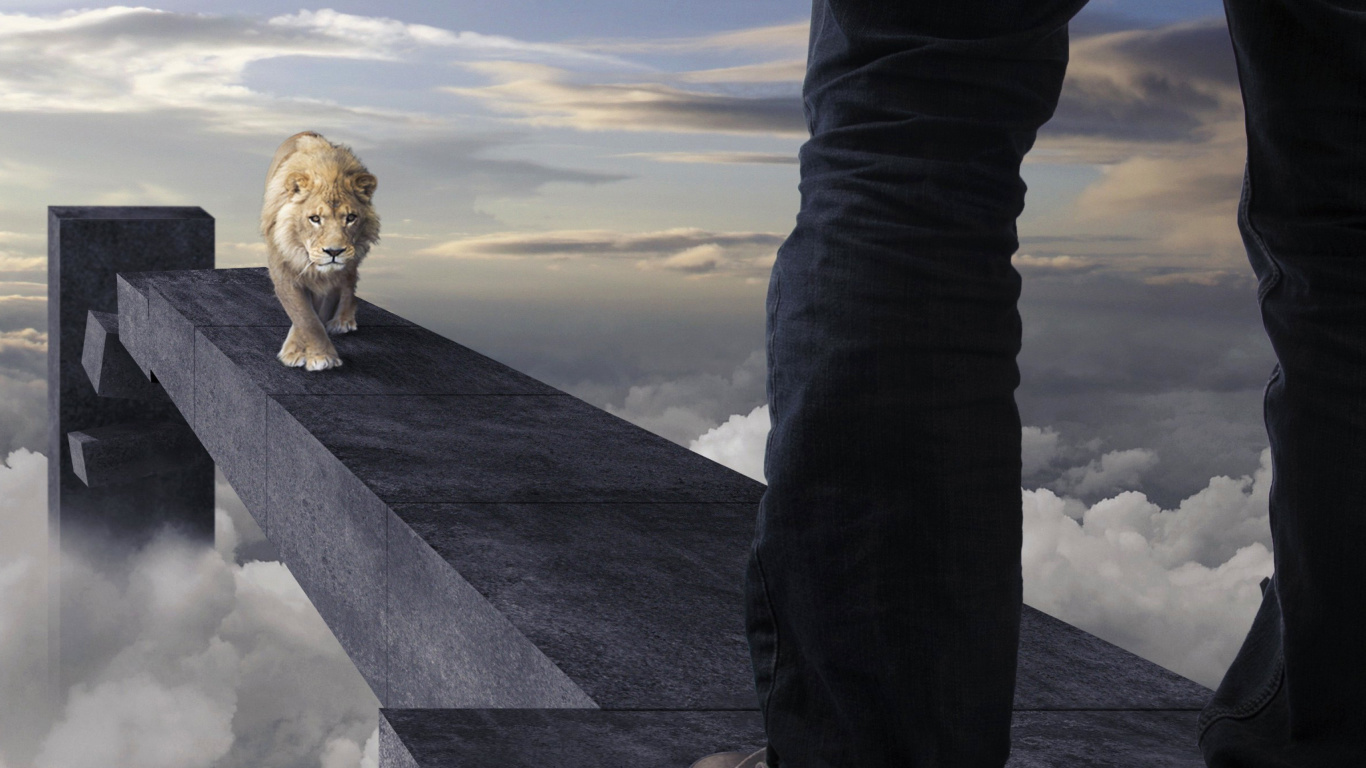Advertisement with Lion wallpaper 1366x768
