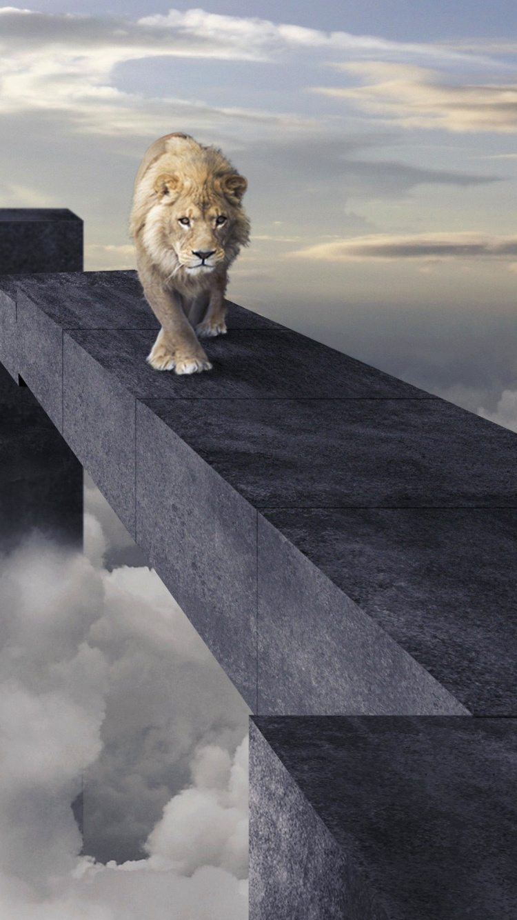 Advertisement with Lion wallpaper 750x1334