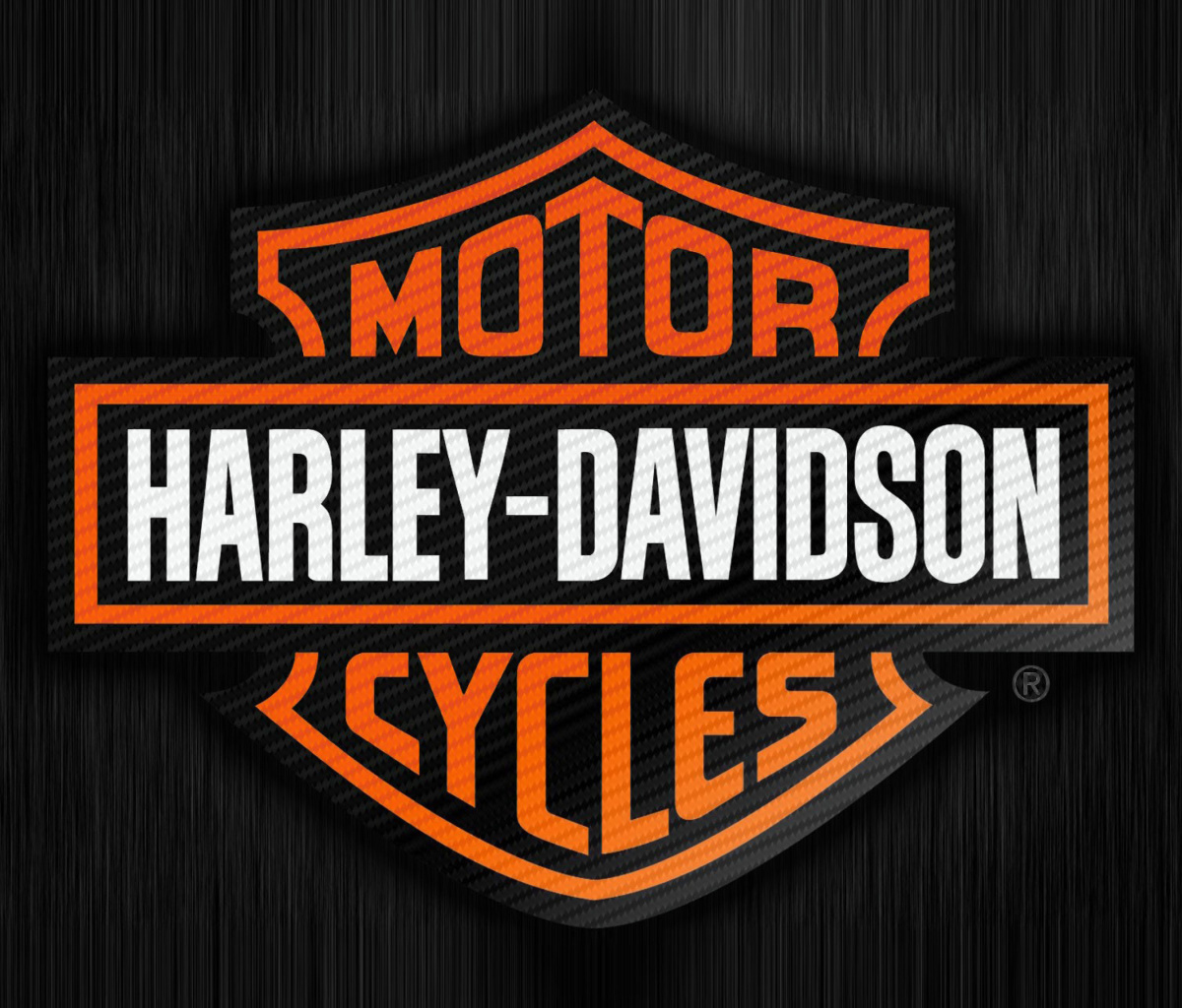 Sfondi Harley Davidson Logo 1200x1024