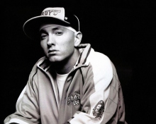 Обои Eminem 220x176