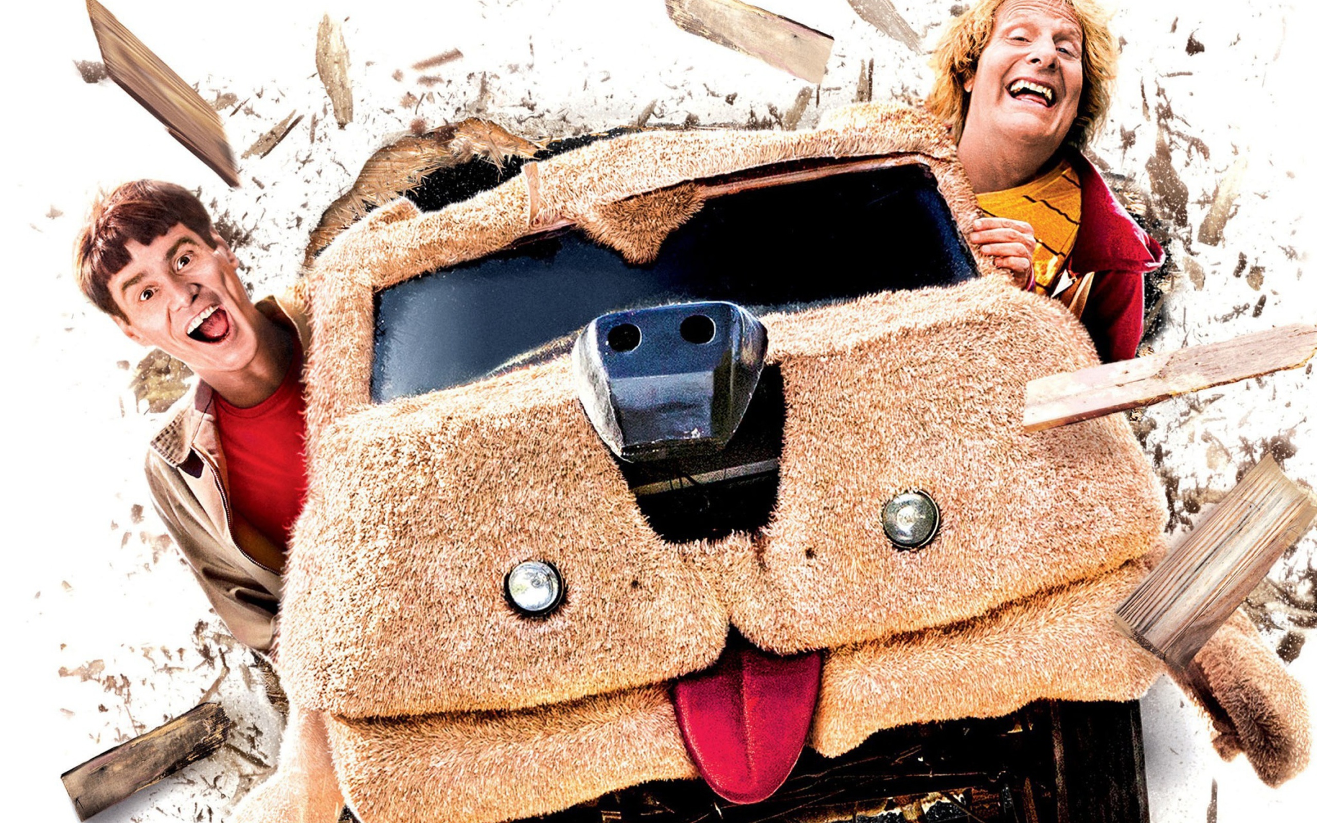 Dumb and Dumber 2014 Film wallpaper 2560x1600