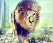 Sfondi Lion 176x144