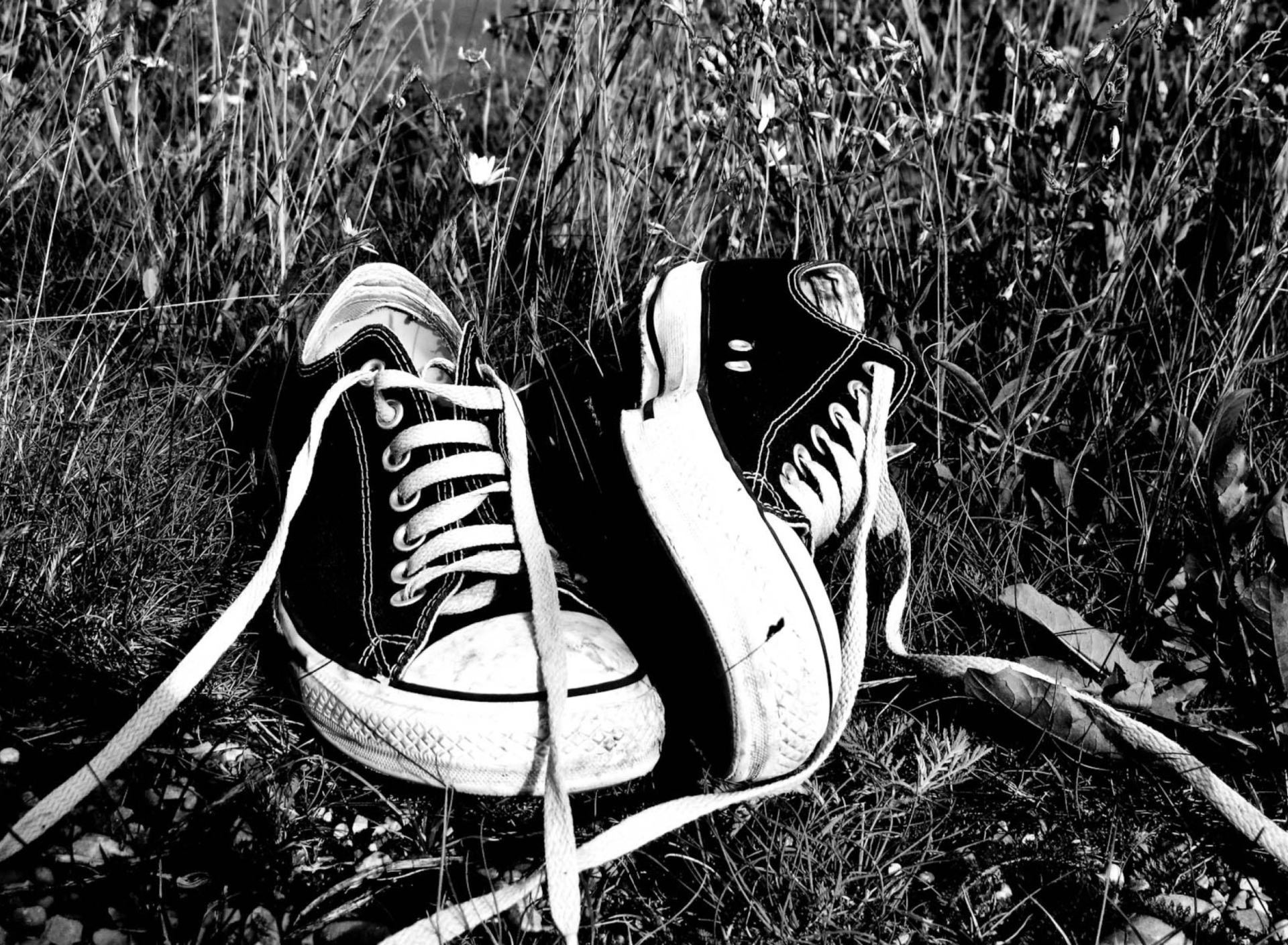 Sfondi Chucks Schwarz Converse 1920x1408