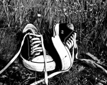 Chucks Schwarz Converse wallpaper 220x176