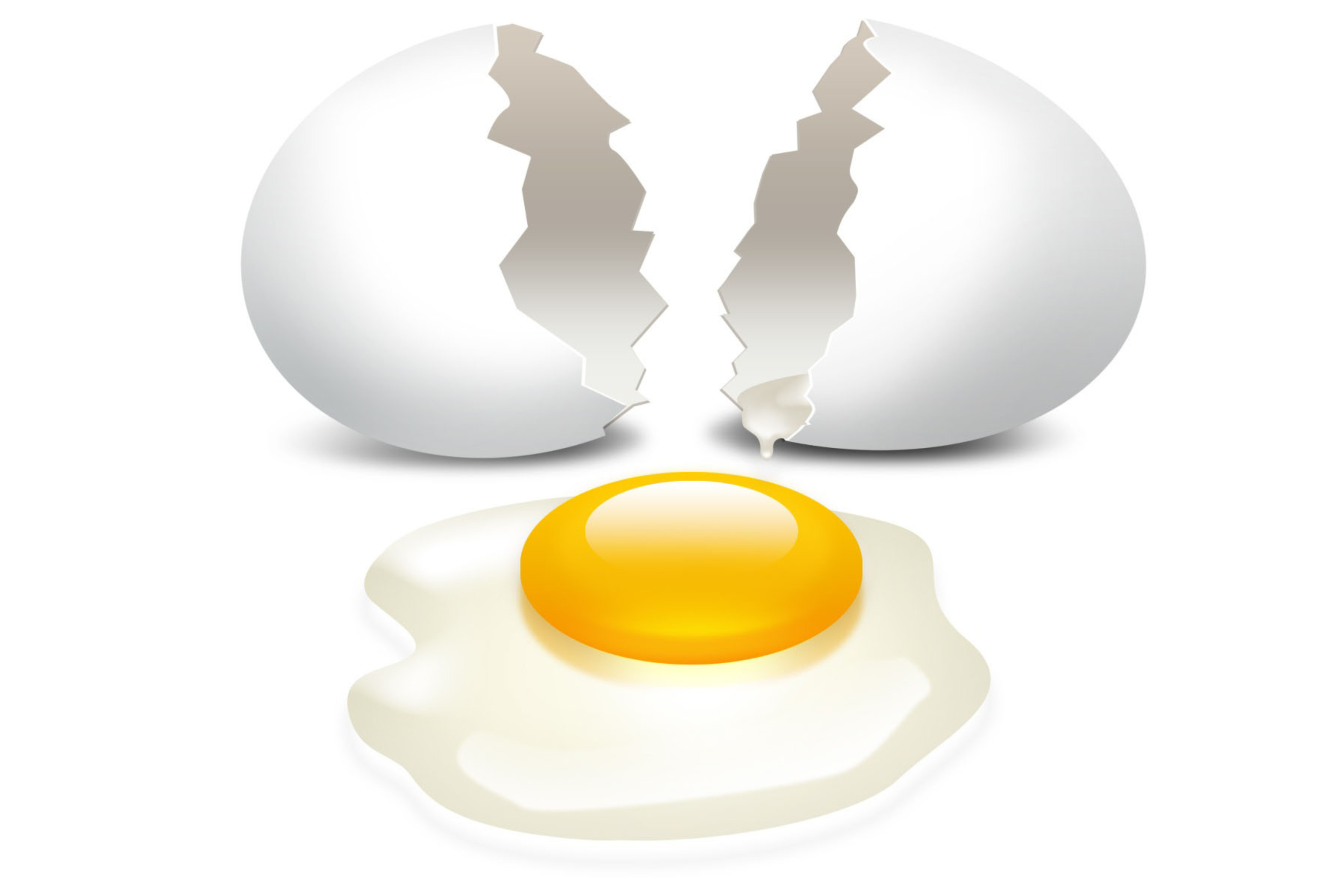 еда яйца графика планеты food eggs graphics planet скачать