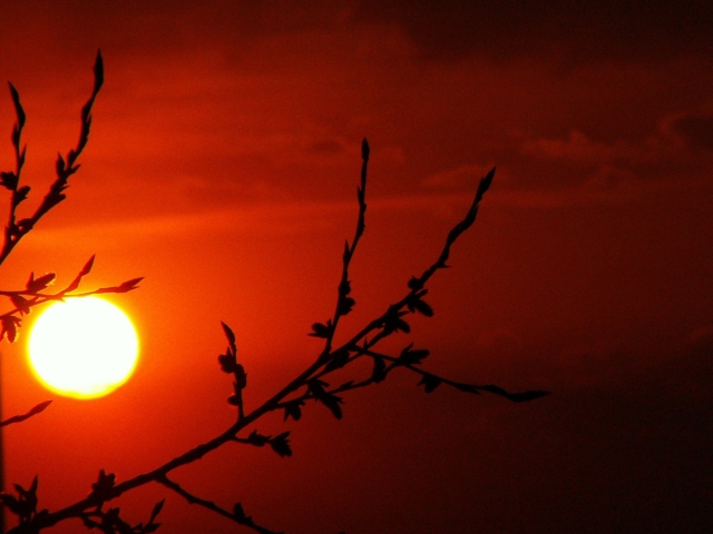 Red Sun wallpaper 640x480