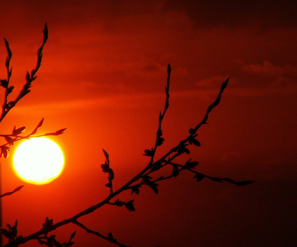 Red Sun screenshot #1 960x800