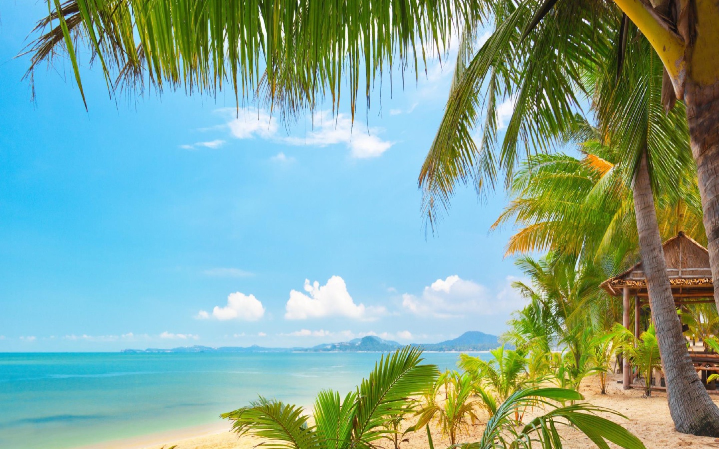 Palm Beach - Punta Cana screenshot #1 1440x900