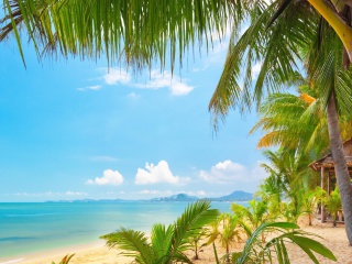 Palm Beach - Punta Cana screenshot #1 320x240