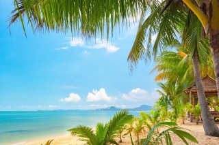 Palm Beach - Punta Cana - Obrázkek zdarma pro Sony Xperia M