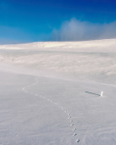 Обои Footprints on snow field 128x160