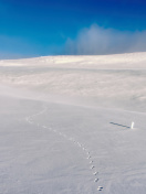 Footprints on snow field wallpaper 132x176